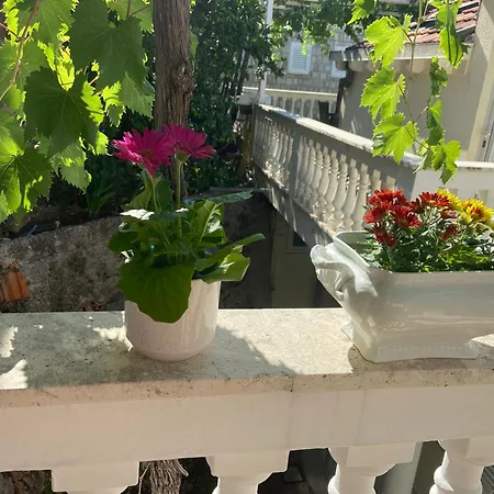 Slavica Apartment *